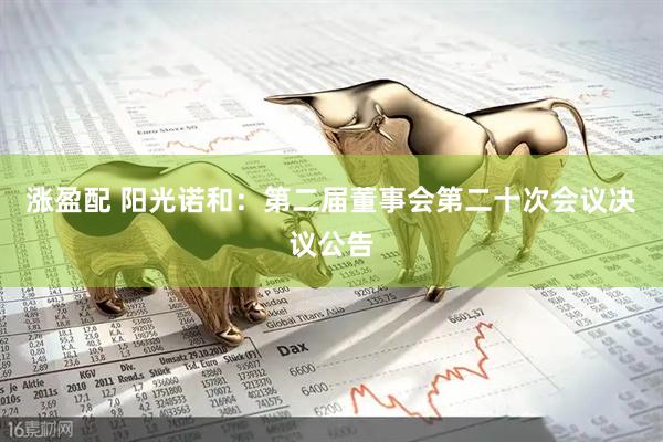 涨盈配 阳光诺和：第二届董事会第二十次会议决议公告