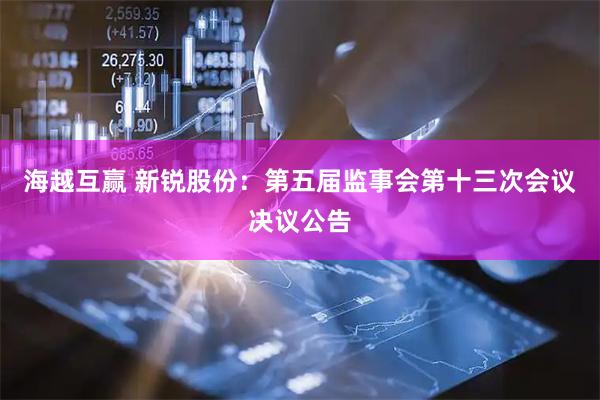 海越互赢 新锐股份：第五届监事会第十三次会议决议公告