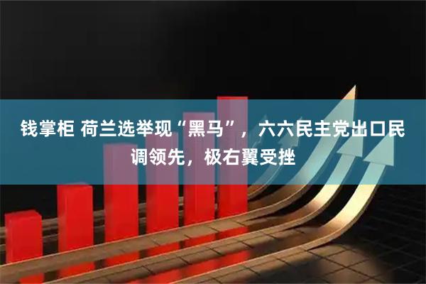 钱掌柜 荷兰选举现“黑马”，六六民主党出口民调领先，极右翼受挫