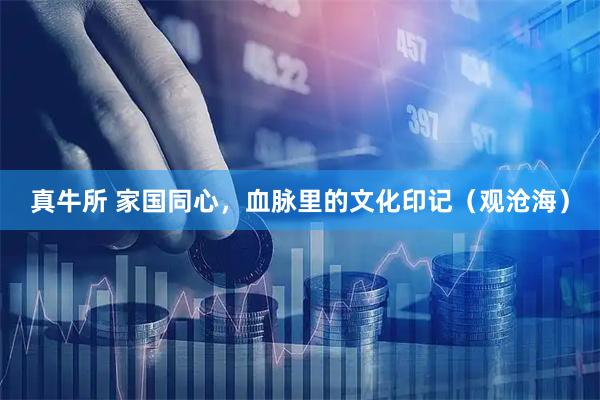 真牛所 家国同心，血脉里的文化印记（观沧海）